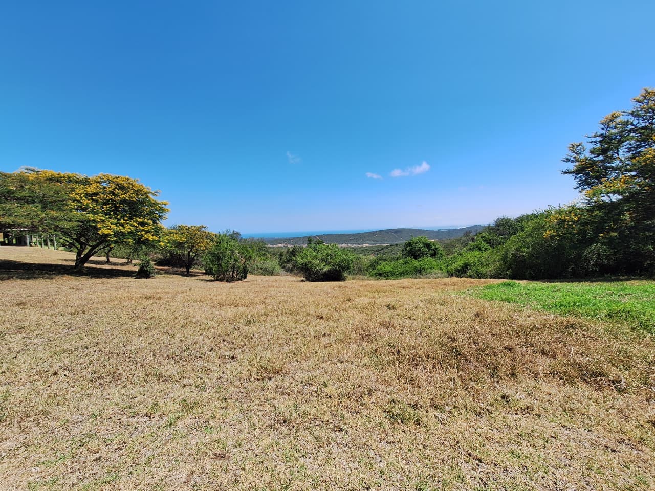 whatsapp image 2026 01 14 at 3.32.54 pm